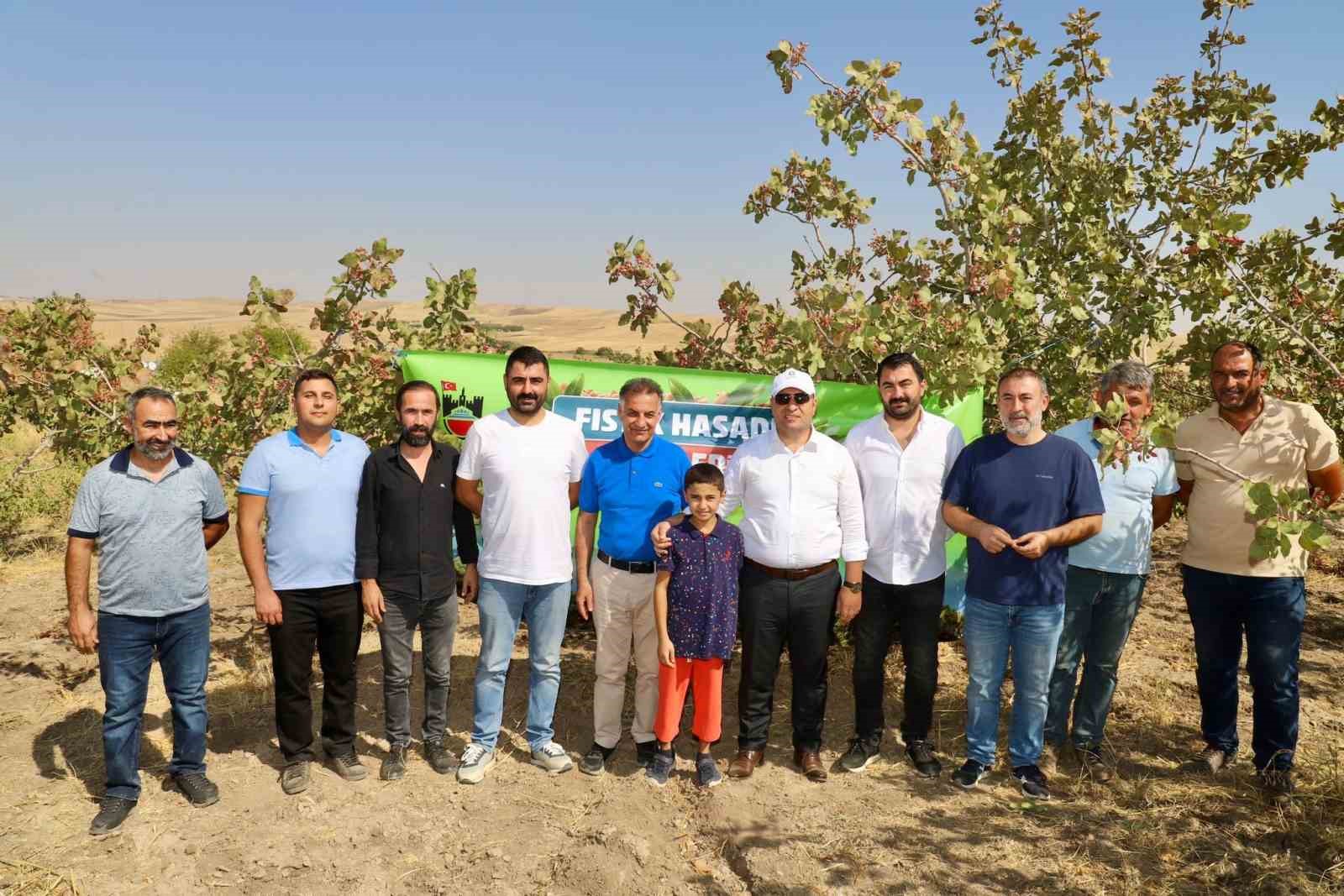 Diyarbakır’da fıstık hasadına başlandı