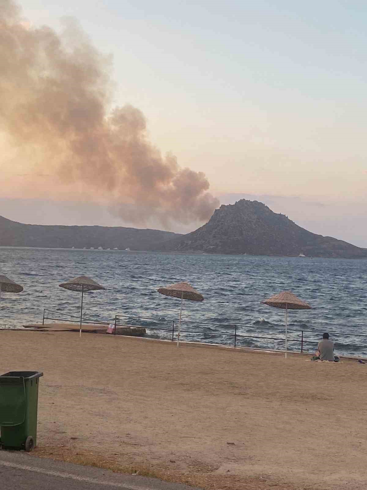 Bodrum’daki yangında 60 dönümlük alan zarar gördü