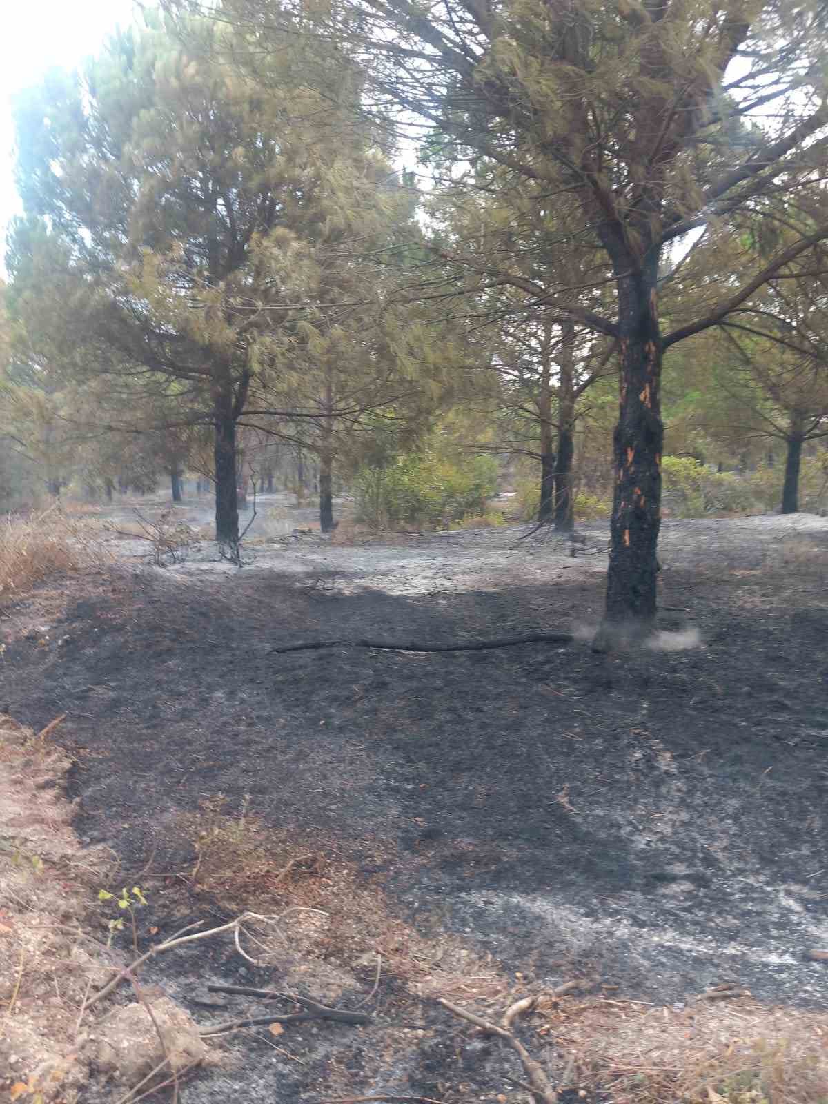 Karabiga&rsquo;da &ccedil;ıkan orman yangını kontrol altına alındı
