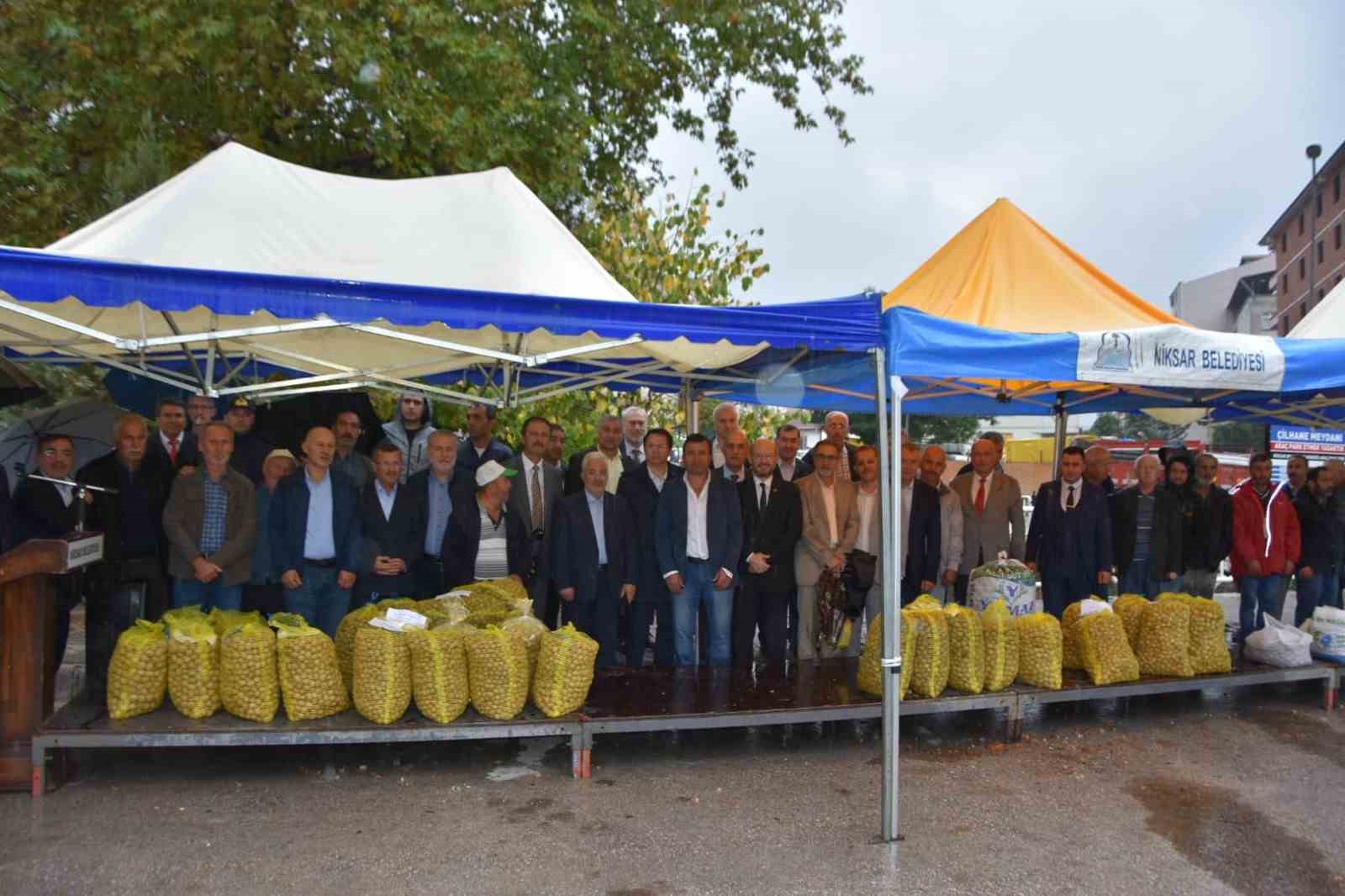 Niksar&rsquo;ın &rsquo;Altın Ceviz&rsquo;leri g&ouml;r&uuml;c&uuml;ye &ccedil;ıktı
