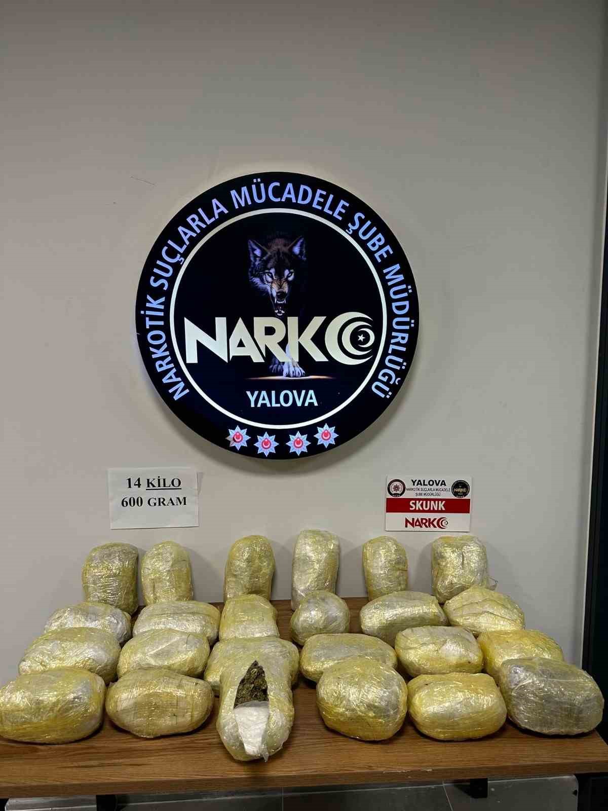 Yalova’da 14 kilo 600 gram skunk ele geçirildi