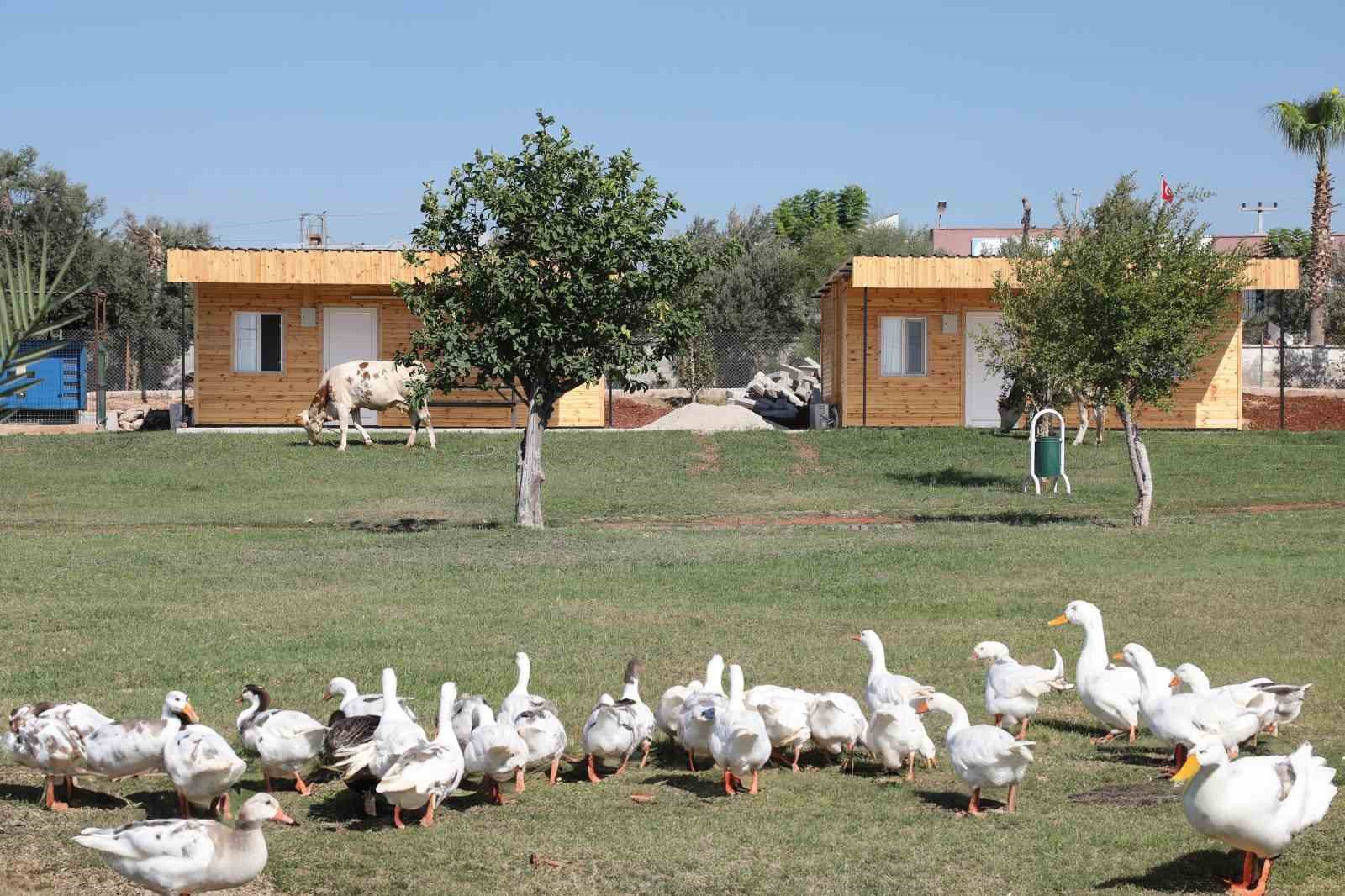 Mutlu Yaşam Köyü konaklama kapasitesini artırdı