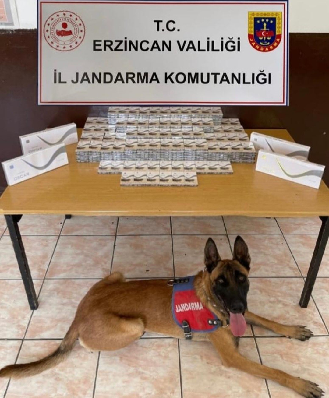 Erzincan’da jandarma ekipleri suça geçit vermiyor