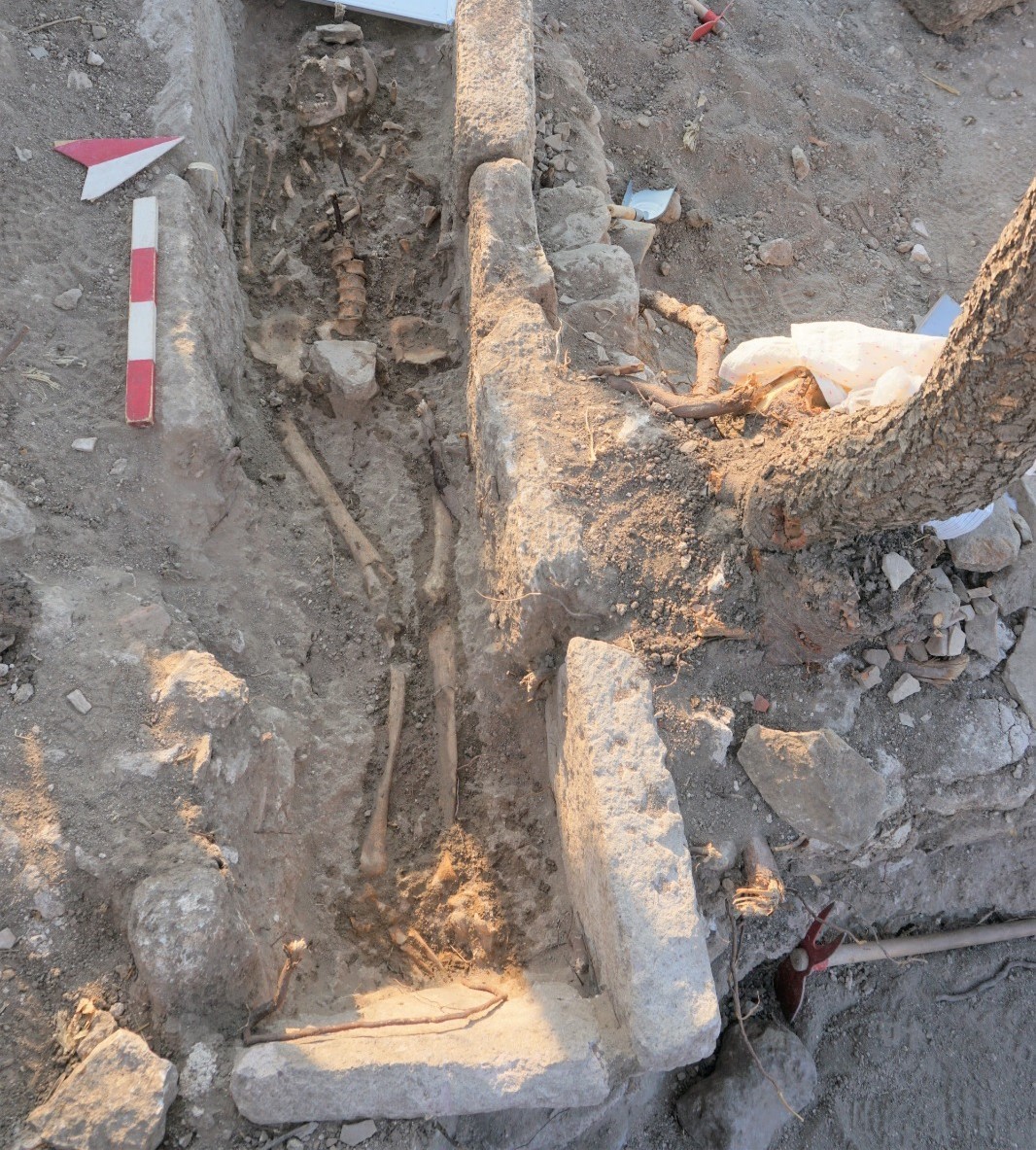 (Özel) 2400 yıl önceki ekonomik zorlukları kazıdaki iskeletlerden belirlediler