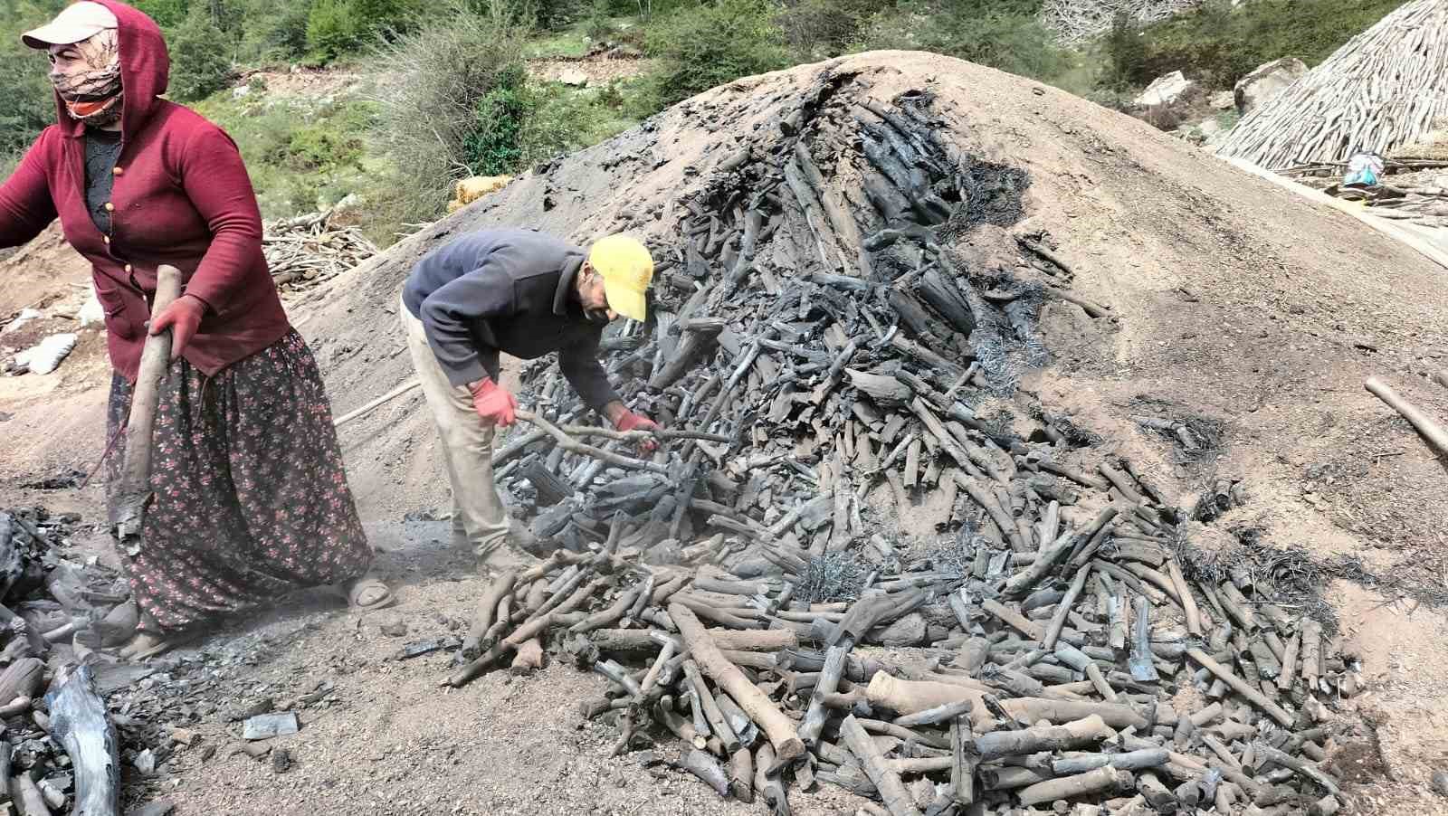 Ormanlarda tahrip olan ağaçları kömür yaparak ekonomiye kazandırıyorlar
