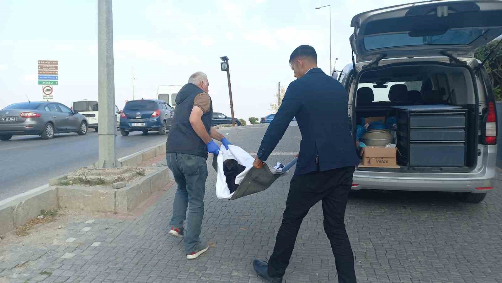 Araba &ccedil;arpan yavru k&ouml;pek i&ccedil;in herkes seferber oldu
