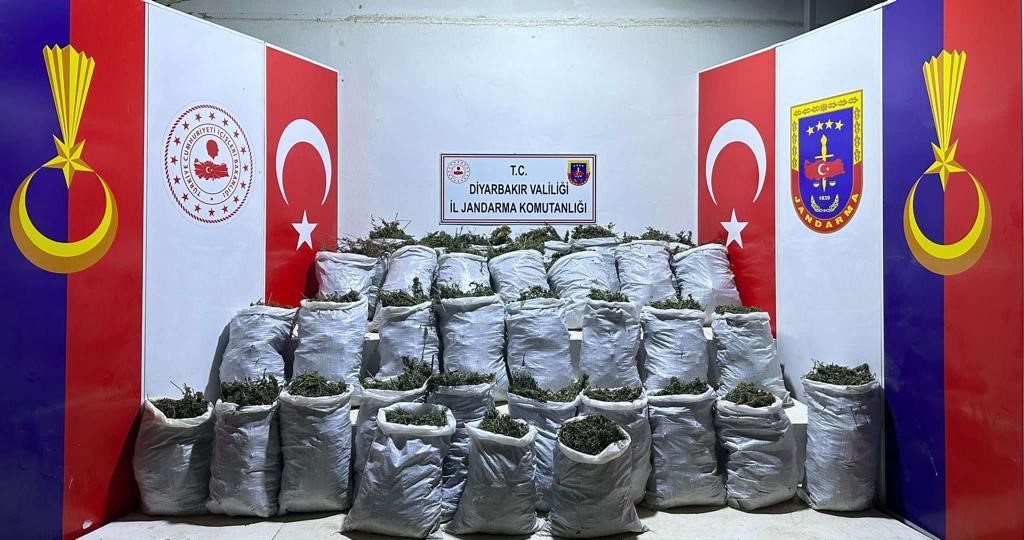 Diyarbakır’da 10 bin kök kenevir ve 202 kilo esrar ele geçirildi