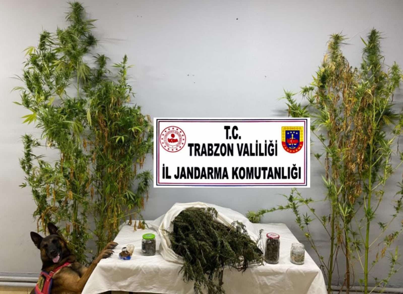 Trabzon’da uyuşturucu operasyonu: 3 gözaltı