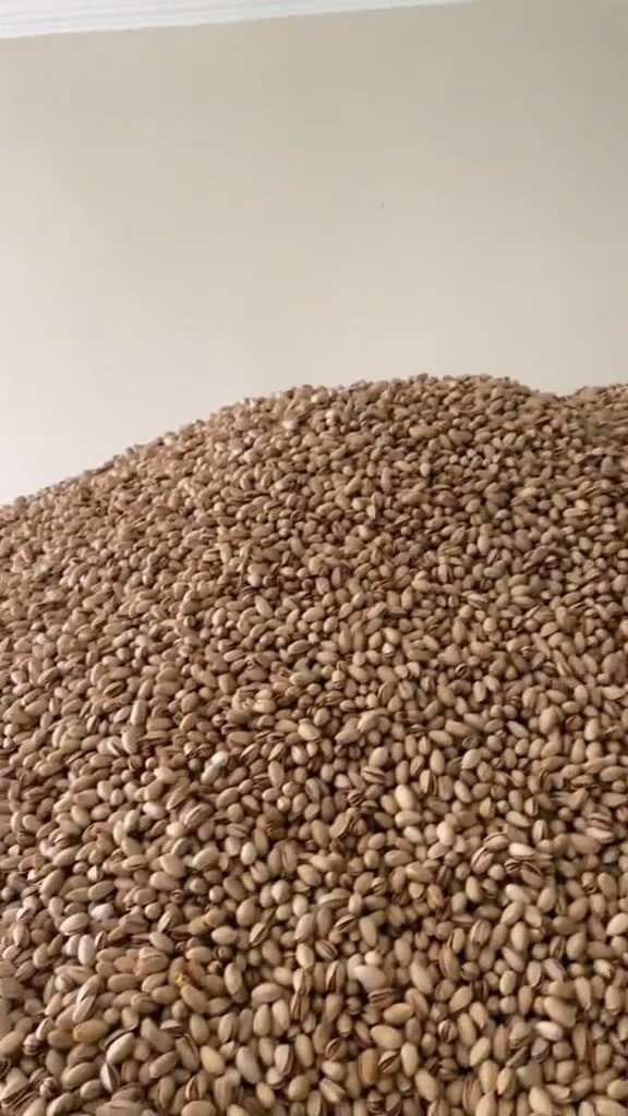 2 ton fıstığa el konuldu
