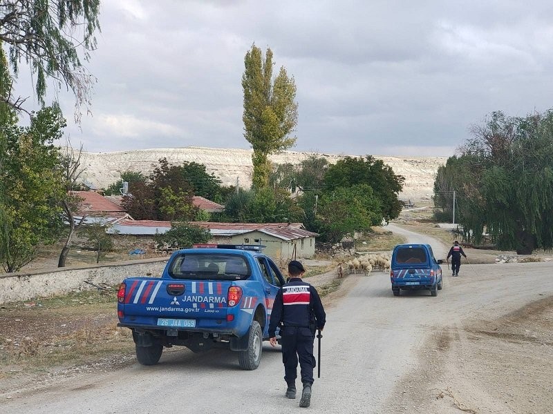 Kaybolan küçükbaş hayvanları jandarma buldu