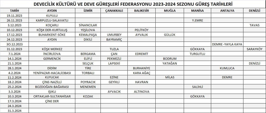 Aydın&rsquo;da deve g&uuml;reşi sezonu başlıyor
