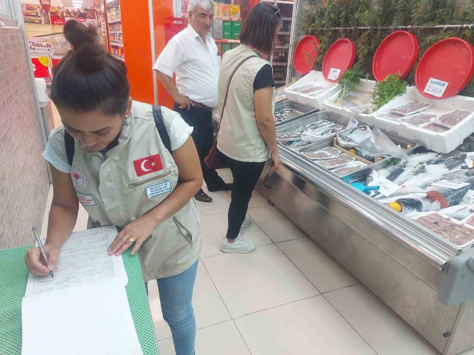 Edirne&rsquo;de denetimlerde bulunan bin metre sahipsiz ağa el konuldu
