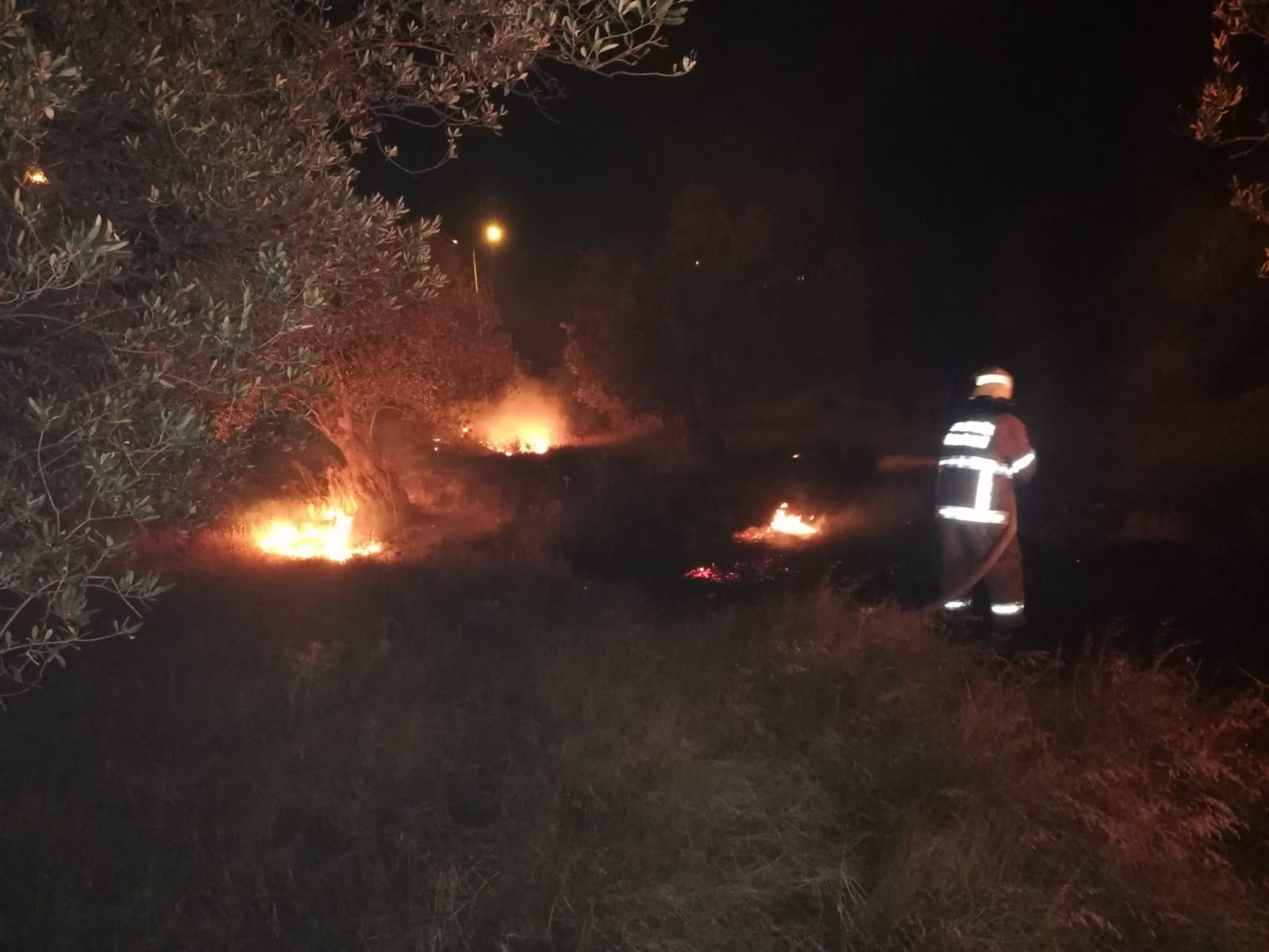 Zeytinlik alandaki örtü yangını söndürüldü