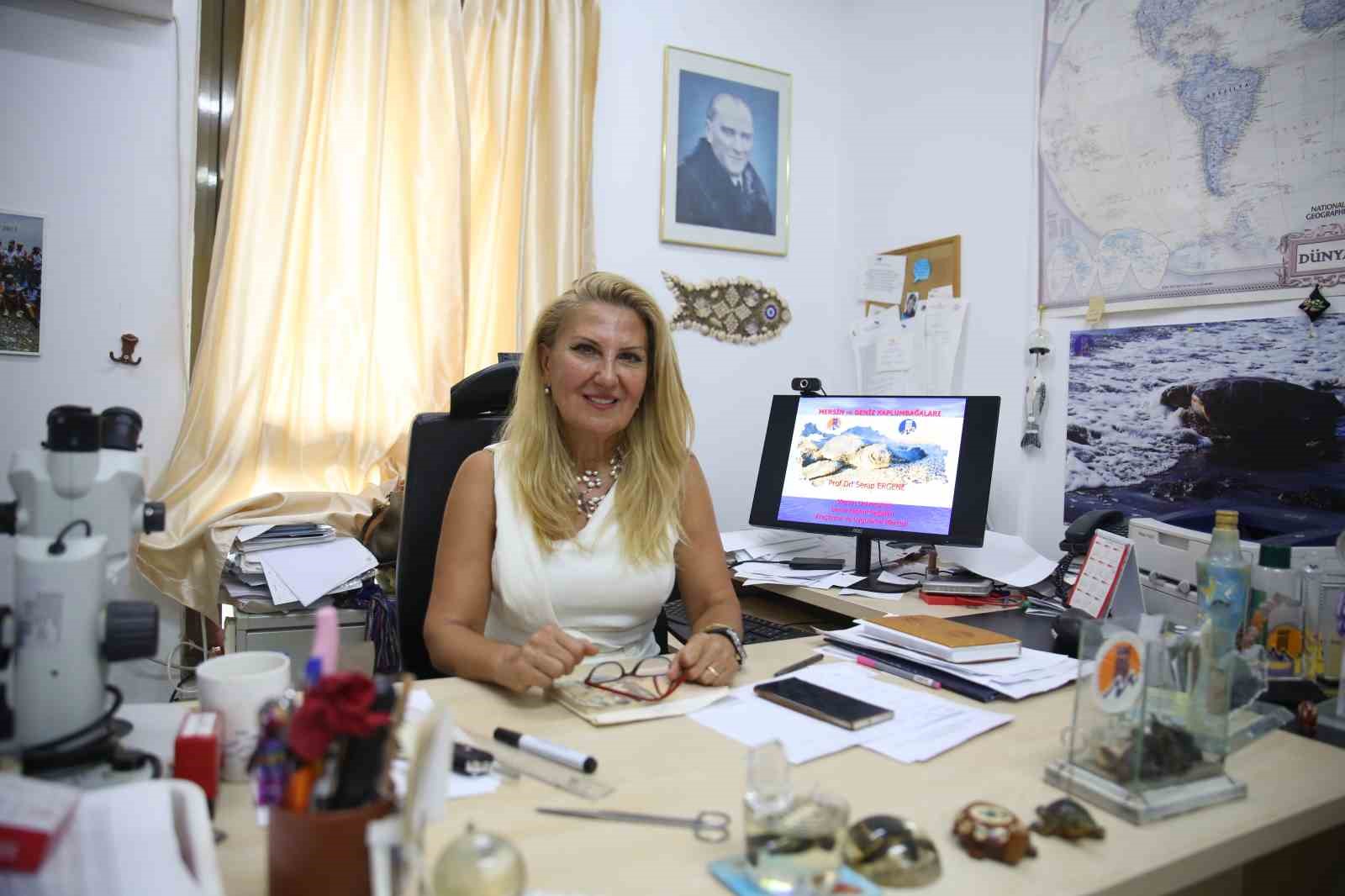 Yaklaşık 250 bin yavru kaplumbağa denizle buluştu