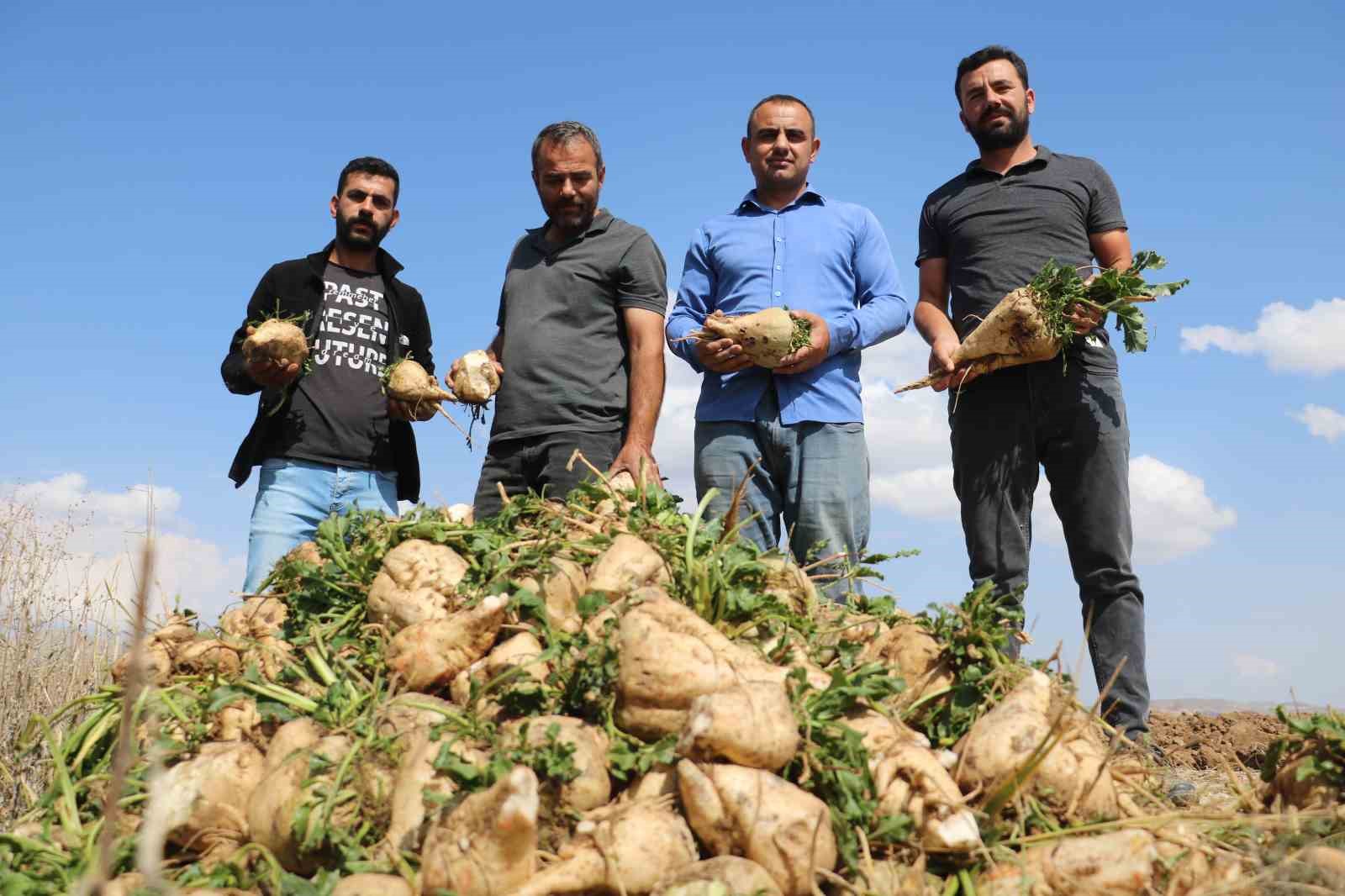 Felaketi yaşamışlardı, çiftçiyi de binlerce lira zarara uğrattı