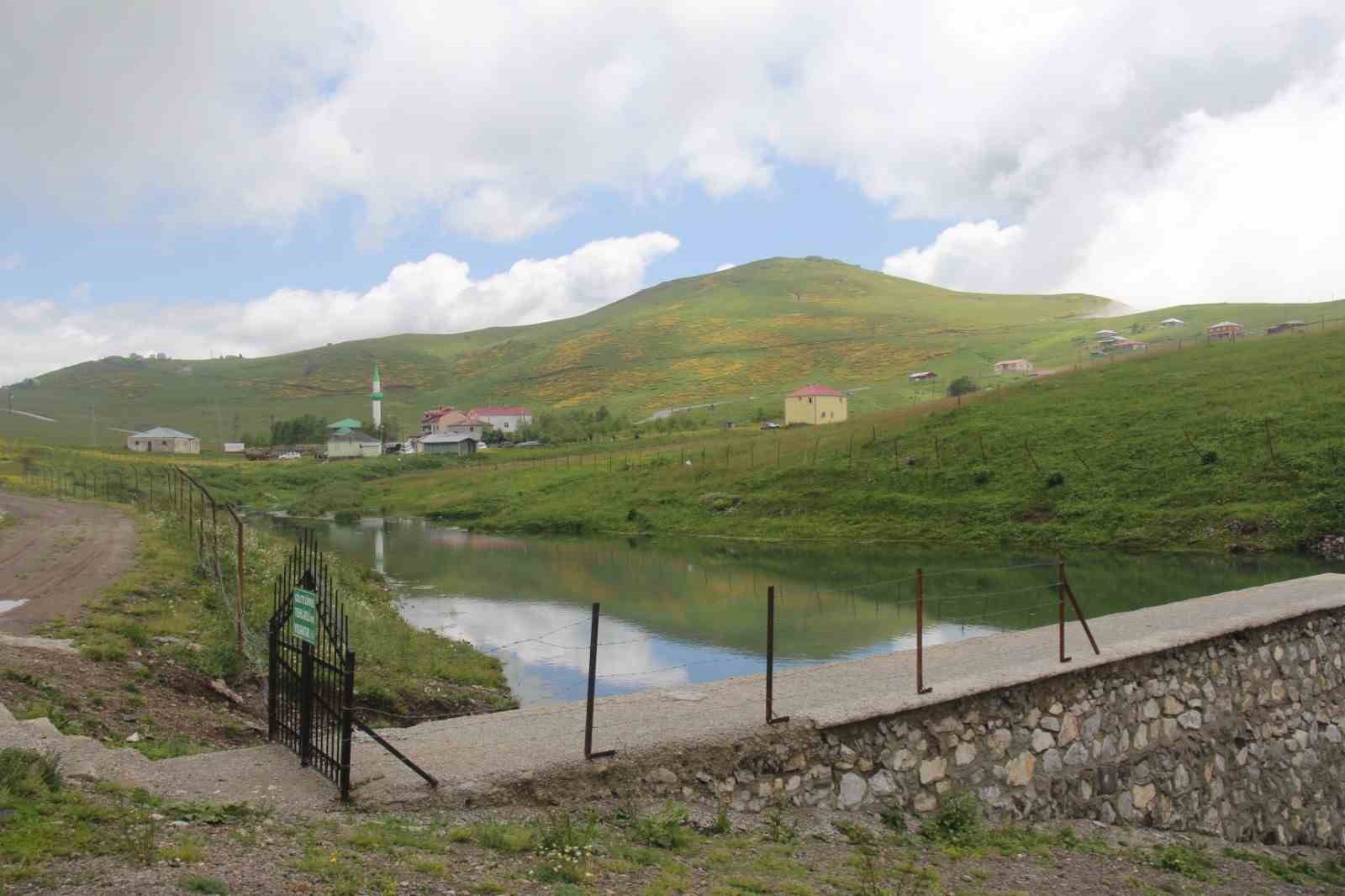 Trabzon&rsquo;da yaylalara yapılan yapay g&ouml;letler yayla iklimlerini de yumuşattı
