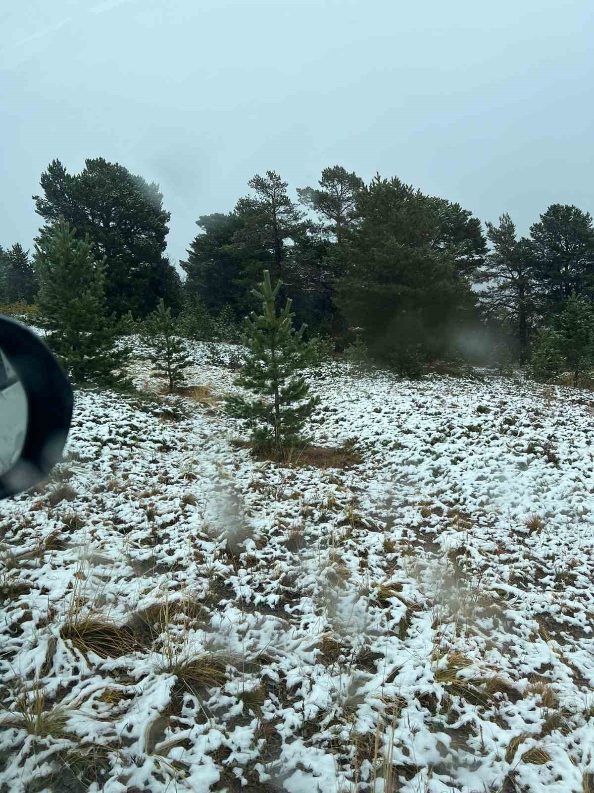 Sarı&ccedil;am ormanları beyaz &ouml;rt&uuml;yle kaplandı
