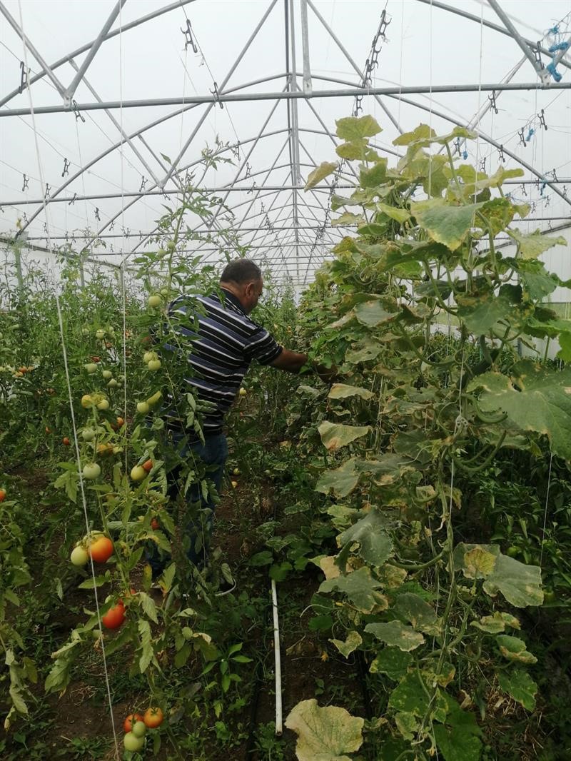 Sağlıklı seracılık için ekipler sahada
