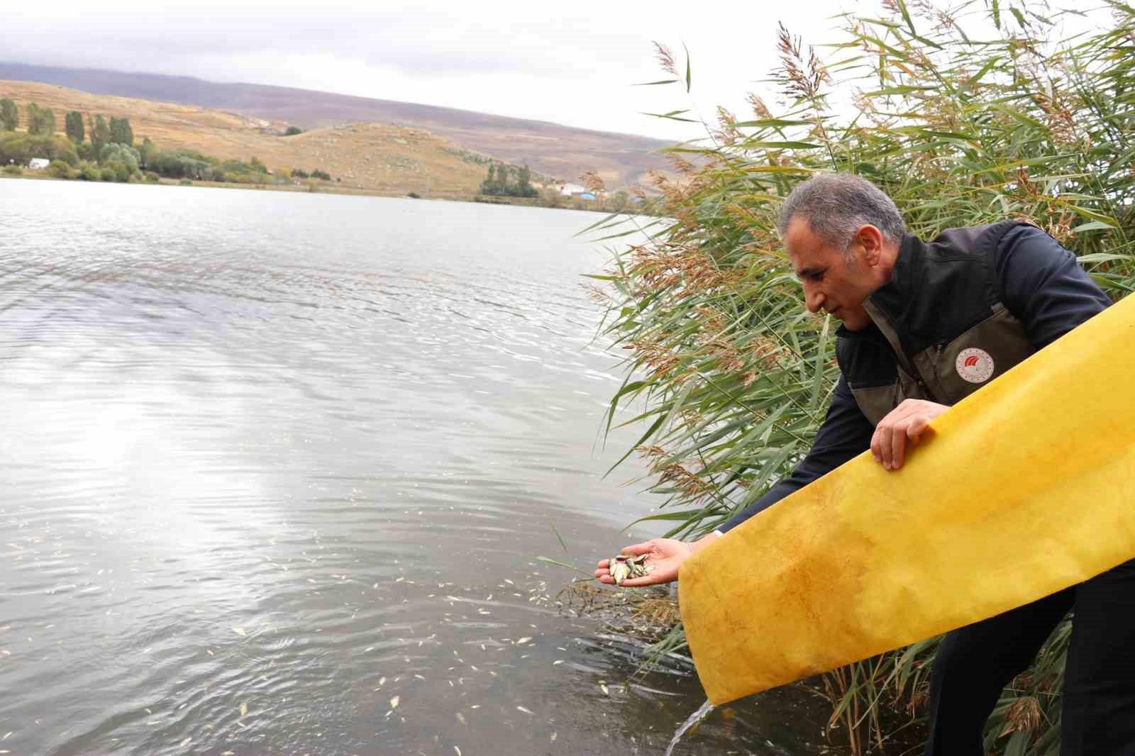 Kars&rsquo;ta g&ouml;llere 520 bin sazan yavrusu bırakıldı
