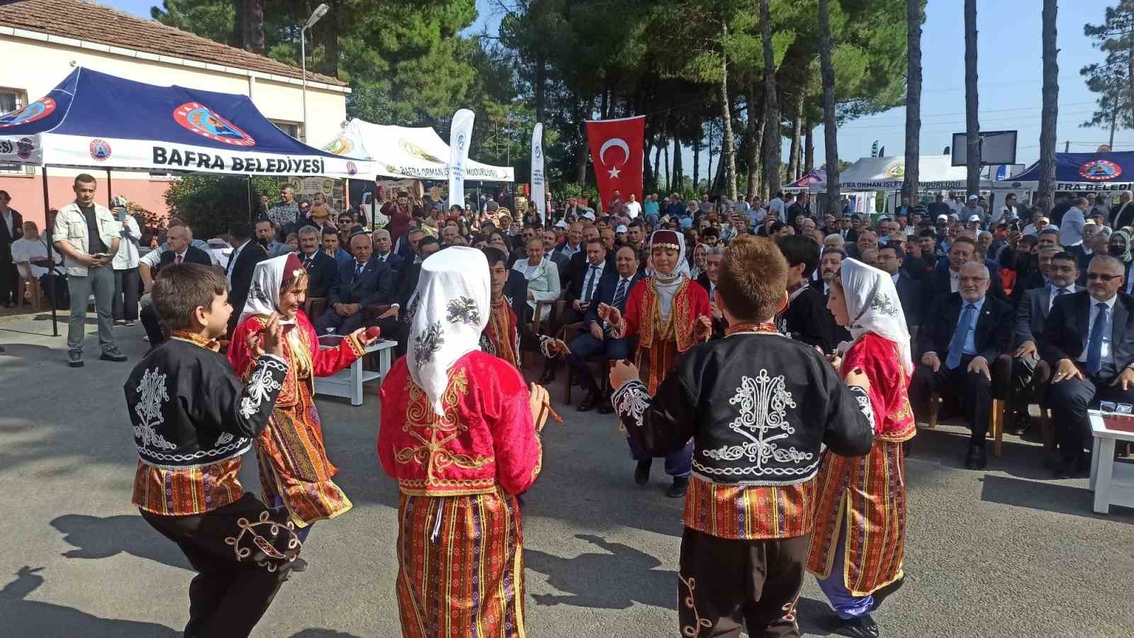 Bafra Ovası'nda çeltik hasadı: İlk hasat Vali Tavlı'dan