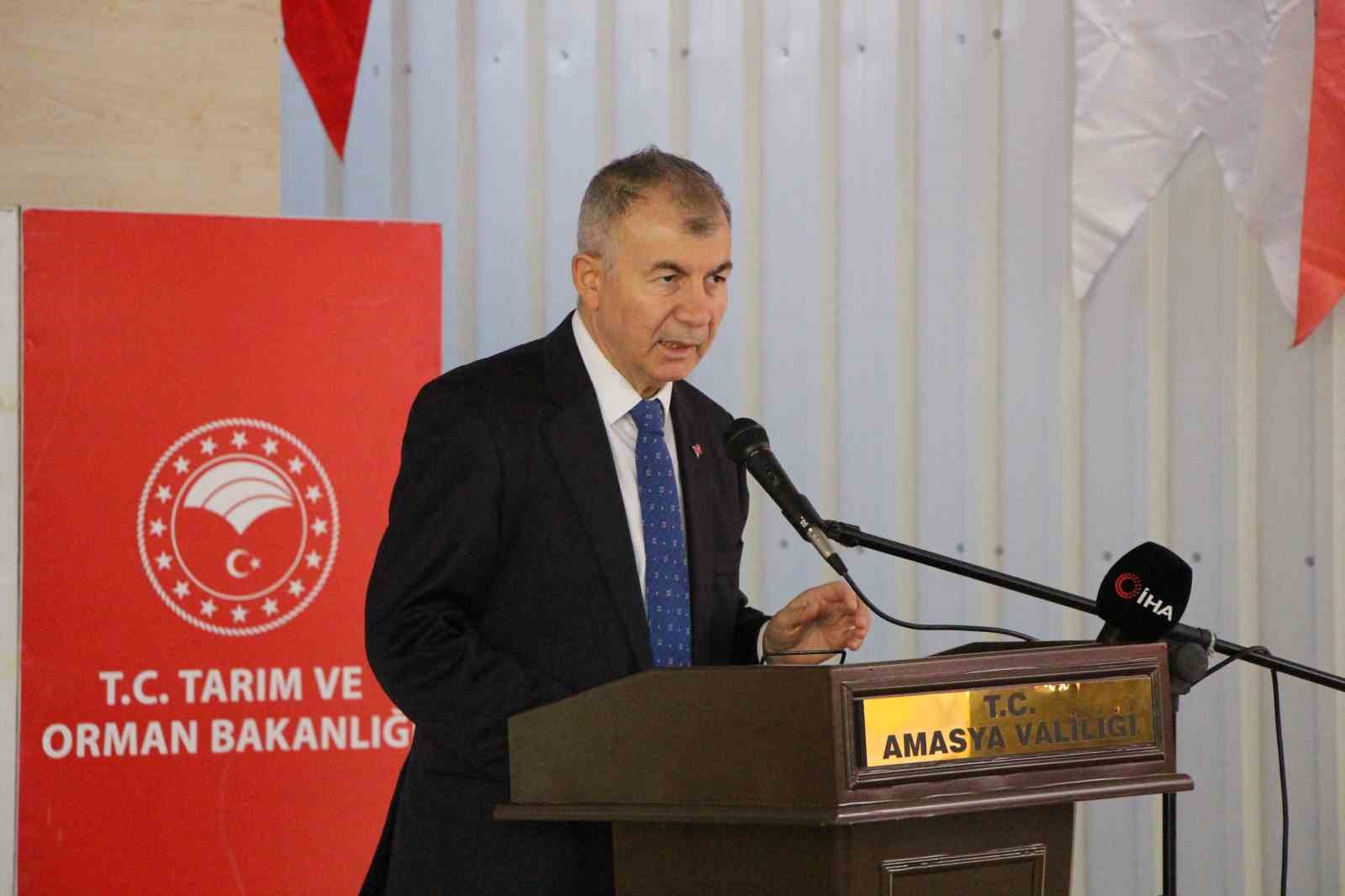Amasya'da çiftçilere yağlık kanola tohumu dağıtıldı