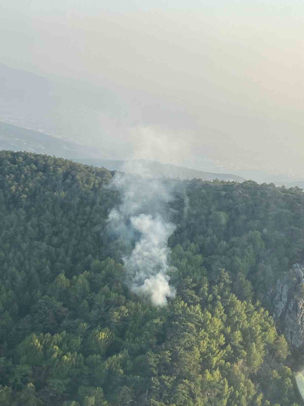 İzmir’de orman yangını: 58 dakikada kontrol altına alındı