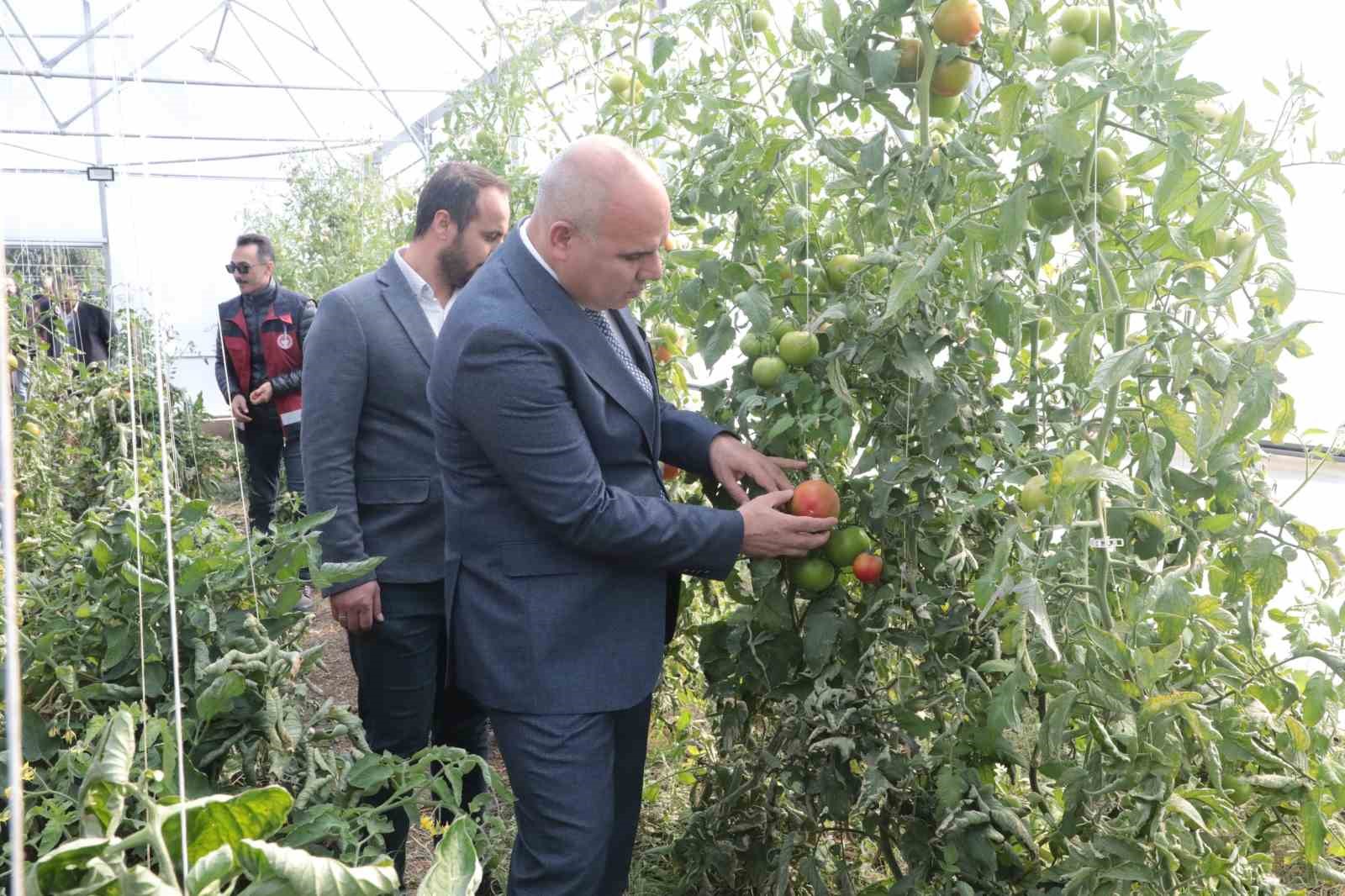 Ağrı’da atıl araziler tarıma kazandırılıyor: 1250 çiftçiye yüzde 50 hibe desteği