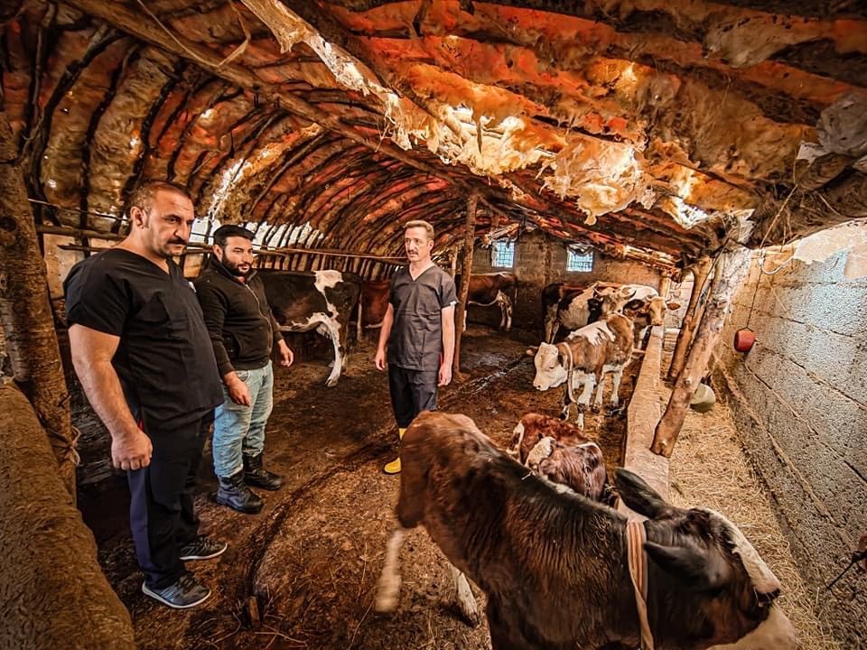 Bitlis&rsquo;te hayvanlara şap aşısı yapıldı
