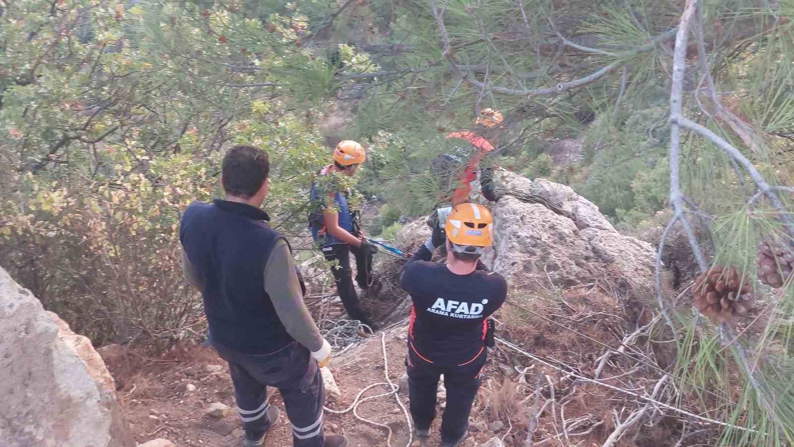 Dağlık alanda mahsur kalan keçiler kurtarıldı