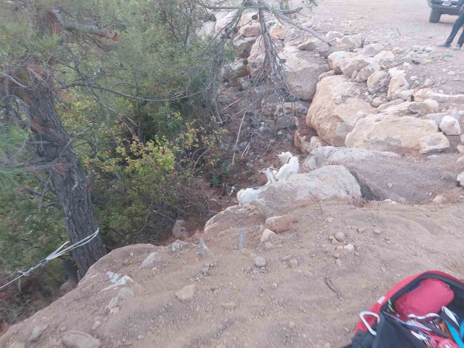 Dağlık alanda mahsur kalan ke&ccedil;iler kurtarıldı
