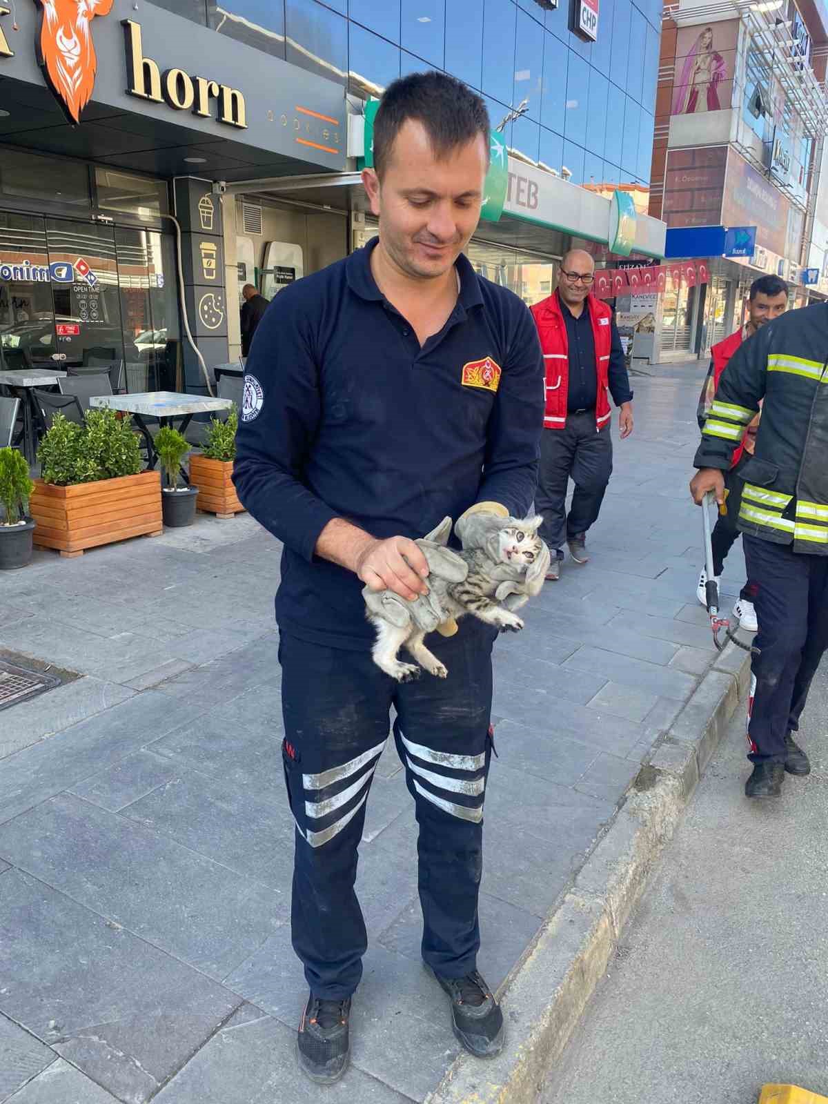 Aracın motoruna sıkışan yavru kediyi itfaiye kurtardı
