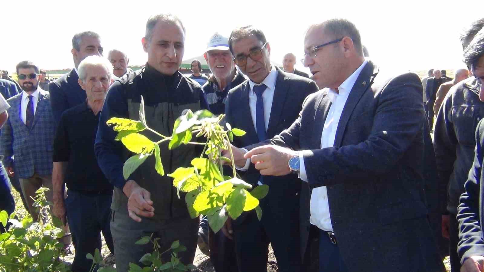 Kars’ta ilkkez ekilen soya fasulyesi hasadı yapıldı