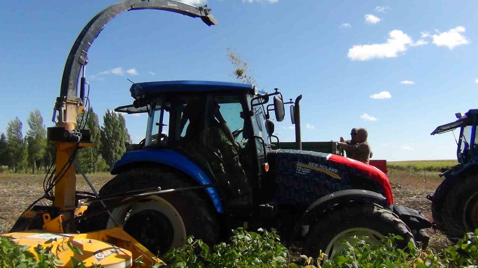 Kars&rsquo;ta ilkkez ekilen soya fasulyesi hasadı yapıldı
