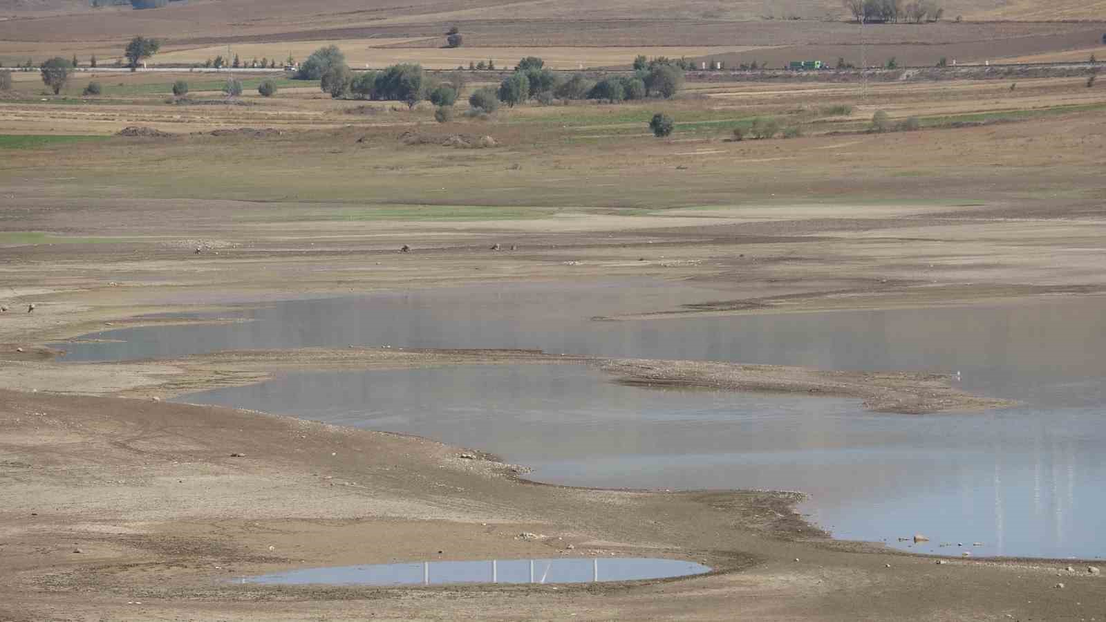 Su seviyesi y&uuml;zde 80 d&uuml;şt&uuml;, ağa&ccedil;lar ortaya &ccedil;ıktı
