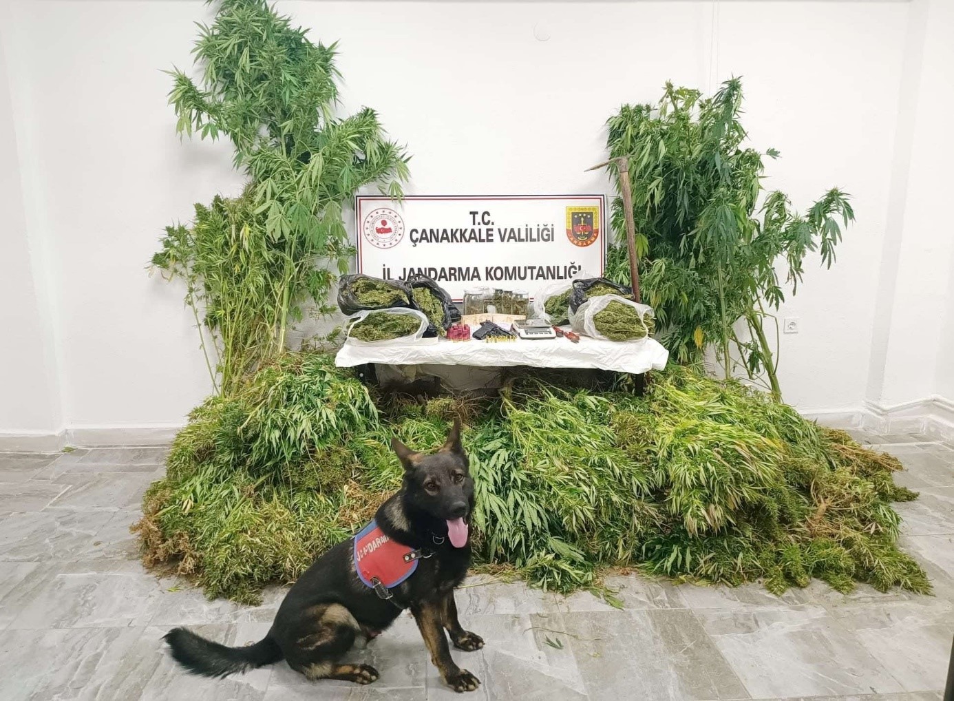 Çanakkale’de jandarmadan uyuşturucu operasyonu: 6 tutuklama