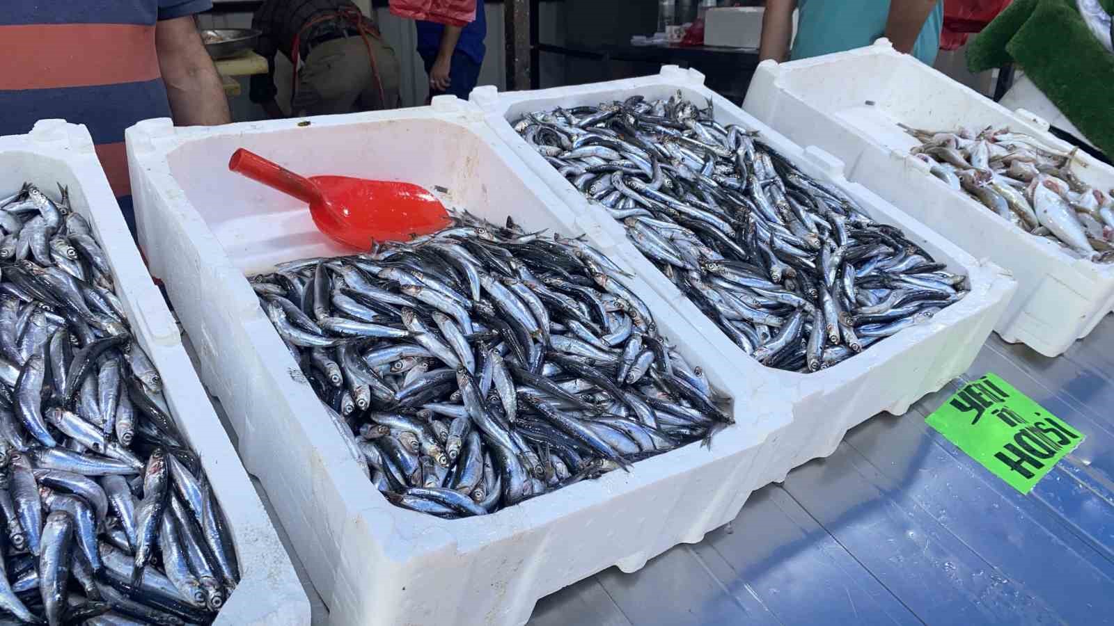 Balık fiyatları arttı, vatandaşlar ilgi g&ouml;stermedi
