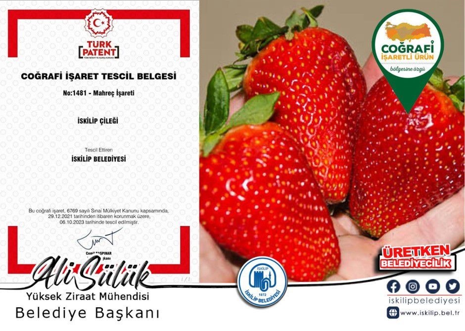 "İskilip &ccedil;ileği" mahre&ccedil; işaretini alarak tescillendi
