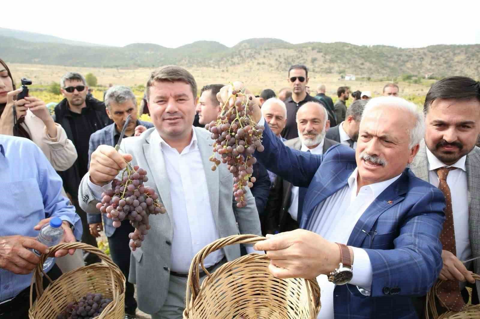 Aksaray’da 2. Geleneksel Bağ Bozumu ve Pekmez Festivali