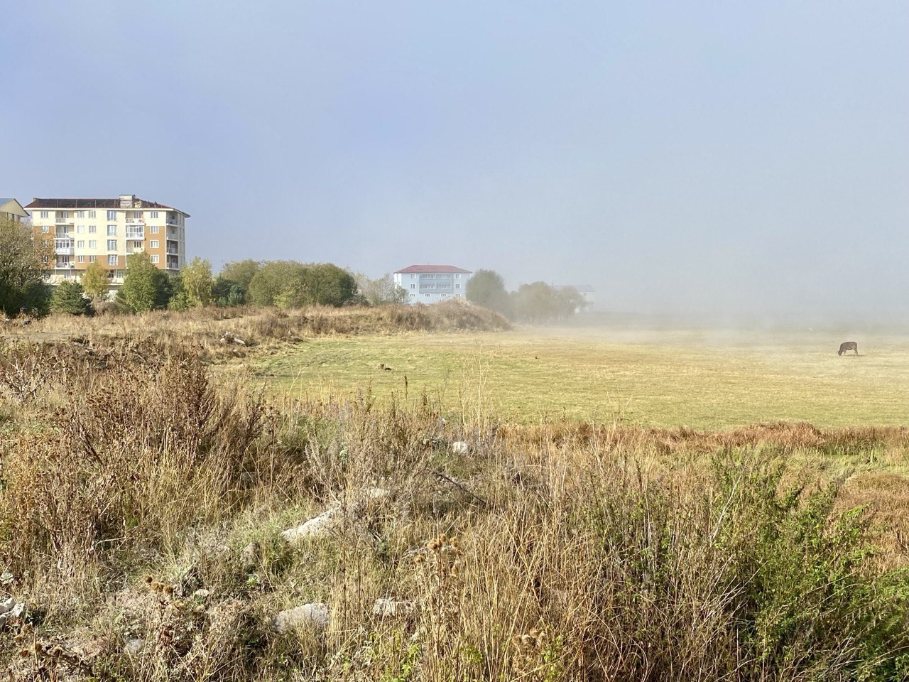 Ardahan&rsquo;da sis etkili oldu
