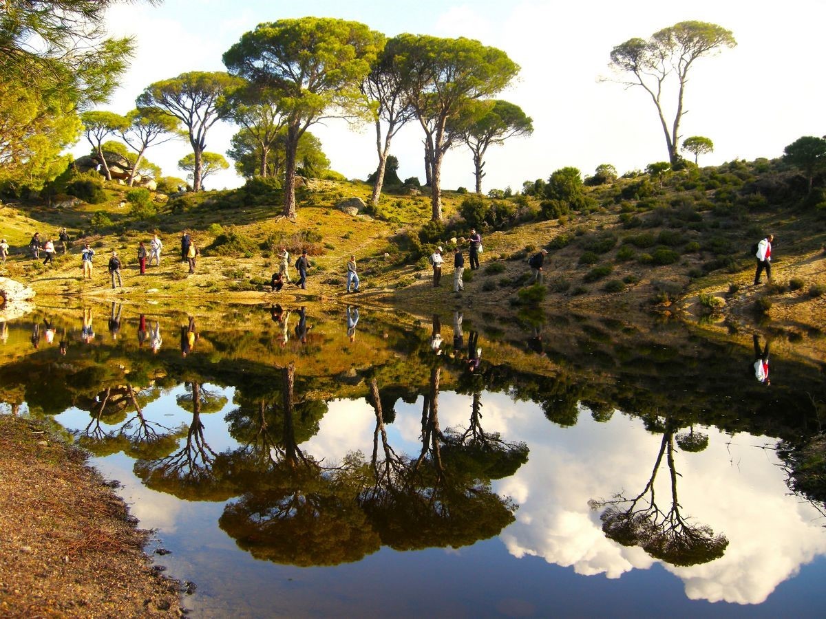 Latmos, Kıbrıs’ta düzenlenen kongrede tanıtıldı