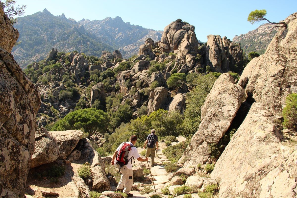 Latmos, Kıbrıs&rsquo;ta d&uuml;zenlenen kongrede tanıtıldı
