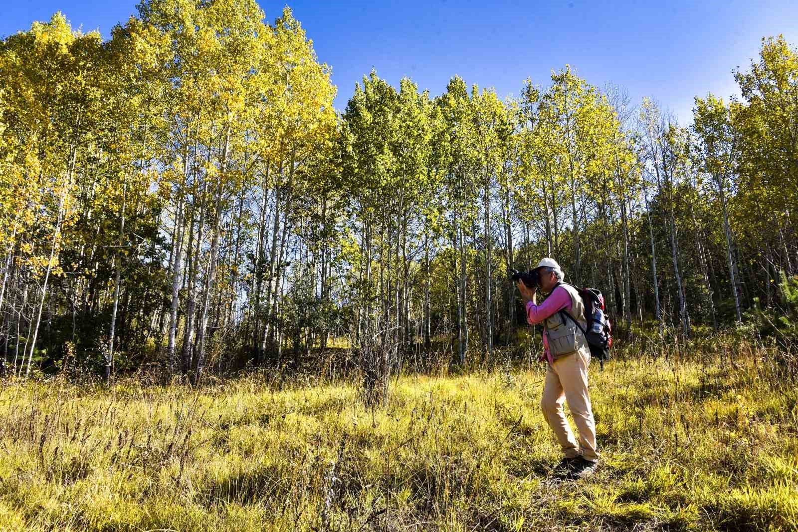 Gümüşhane’de doğa tutkunları sonbaharın keyfini çıkarıyor