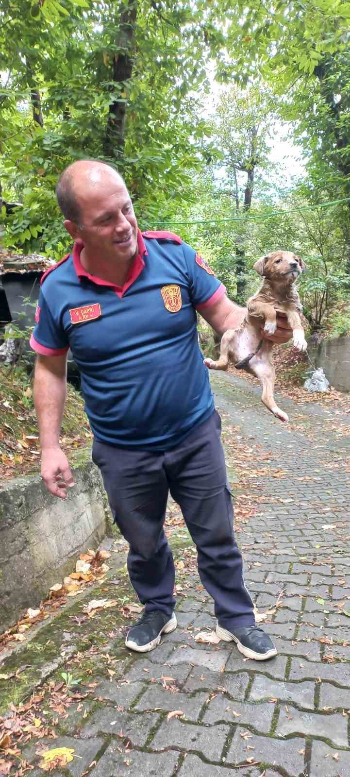 Yağmur giderine sıkışan yavru k&ouml;peği itfaiye kurtardı
