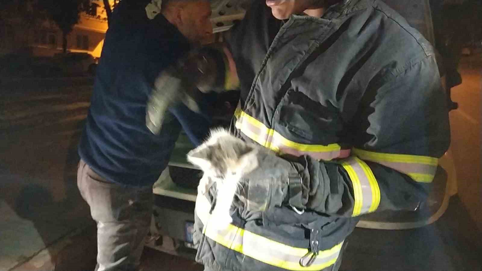 Yaramaz kediyi önce polis sonra itfaiye kurtardı