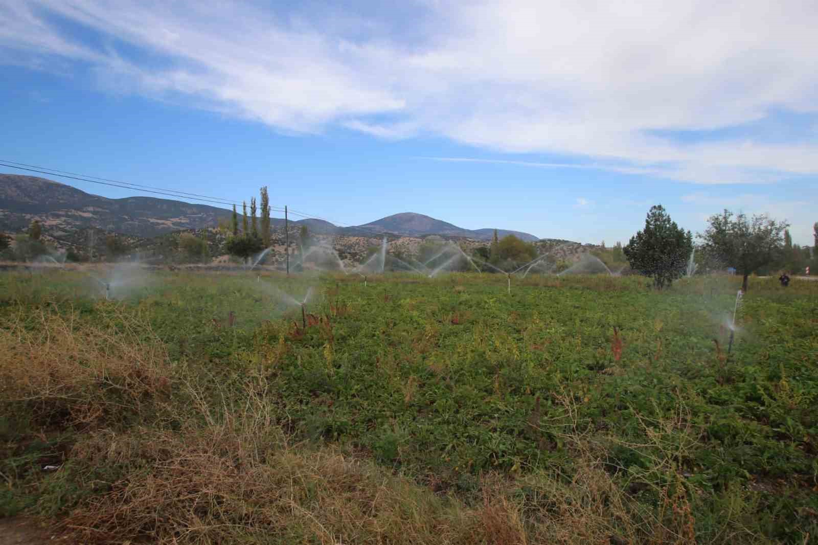 Amasya'da 3 köyde 2500 dekar tarım arazisi suyla buluştu