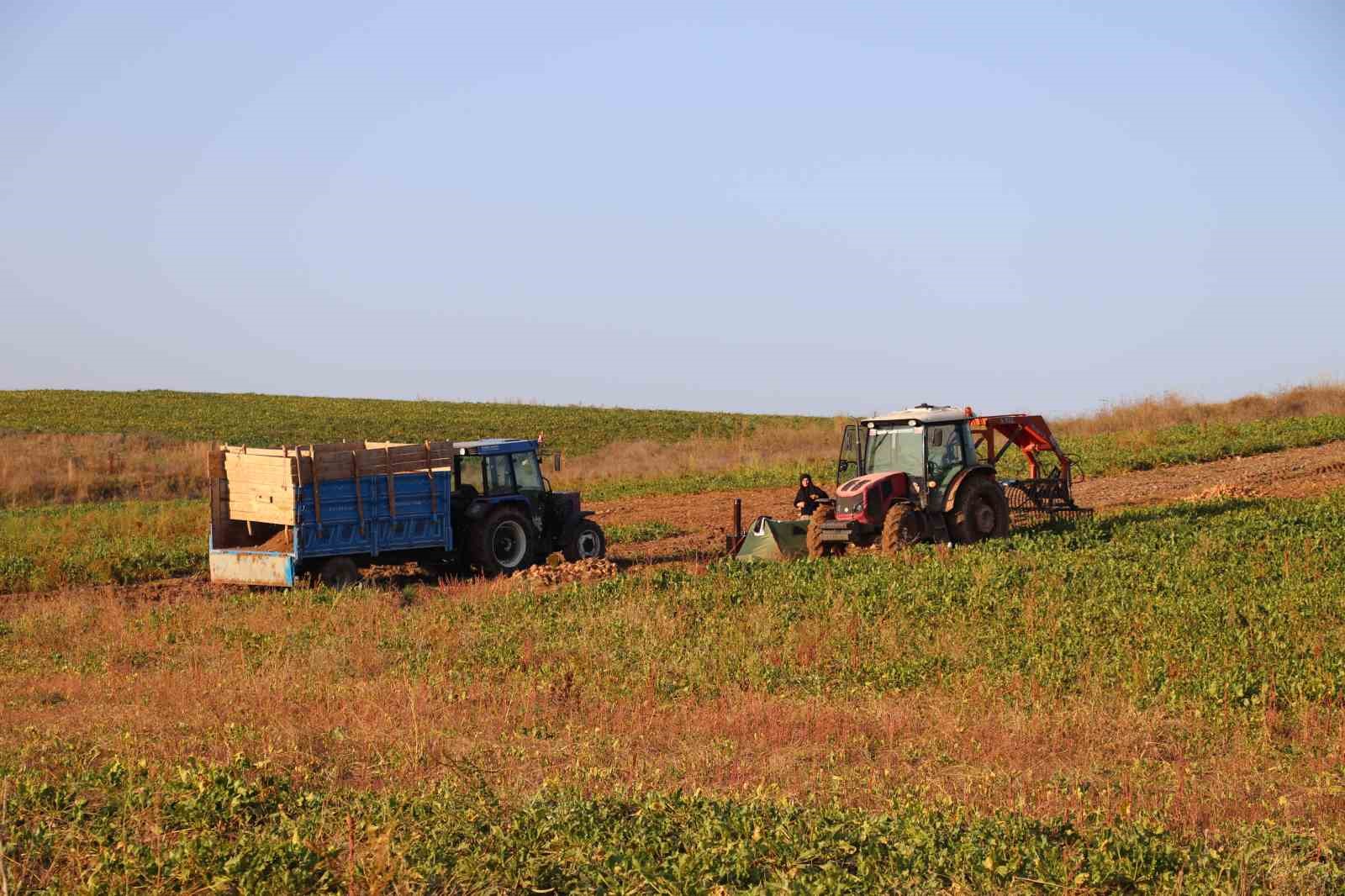 Bilin&ccedil;siz sulama yapan &ccedil;ift&ccedil;i pancarını eliyle toplamak zorunda kaldı
