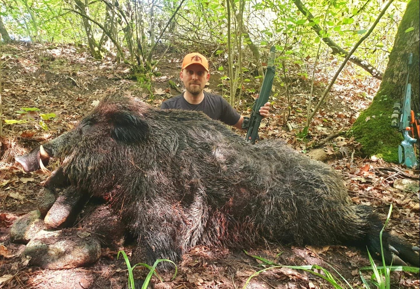 Bilecikli avcılar dev domuzları vurdu
