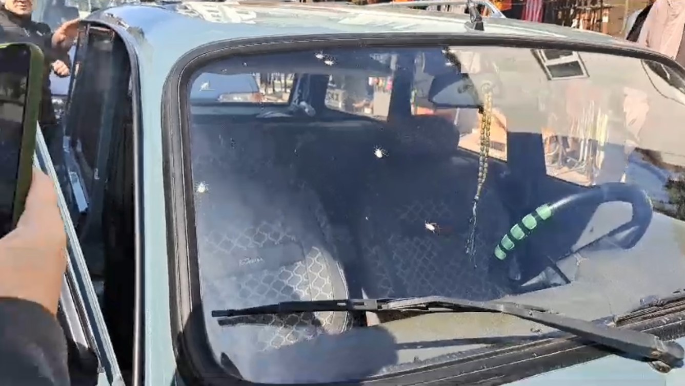 Ordu’da ’kahverengi kokarca’ sorunu