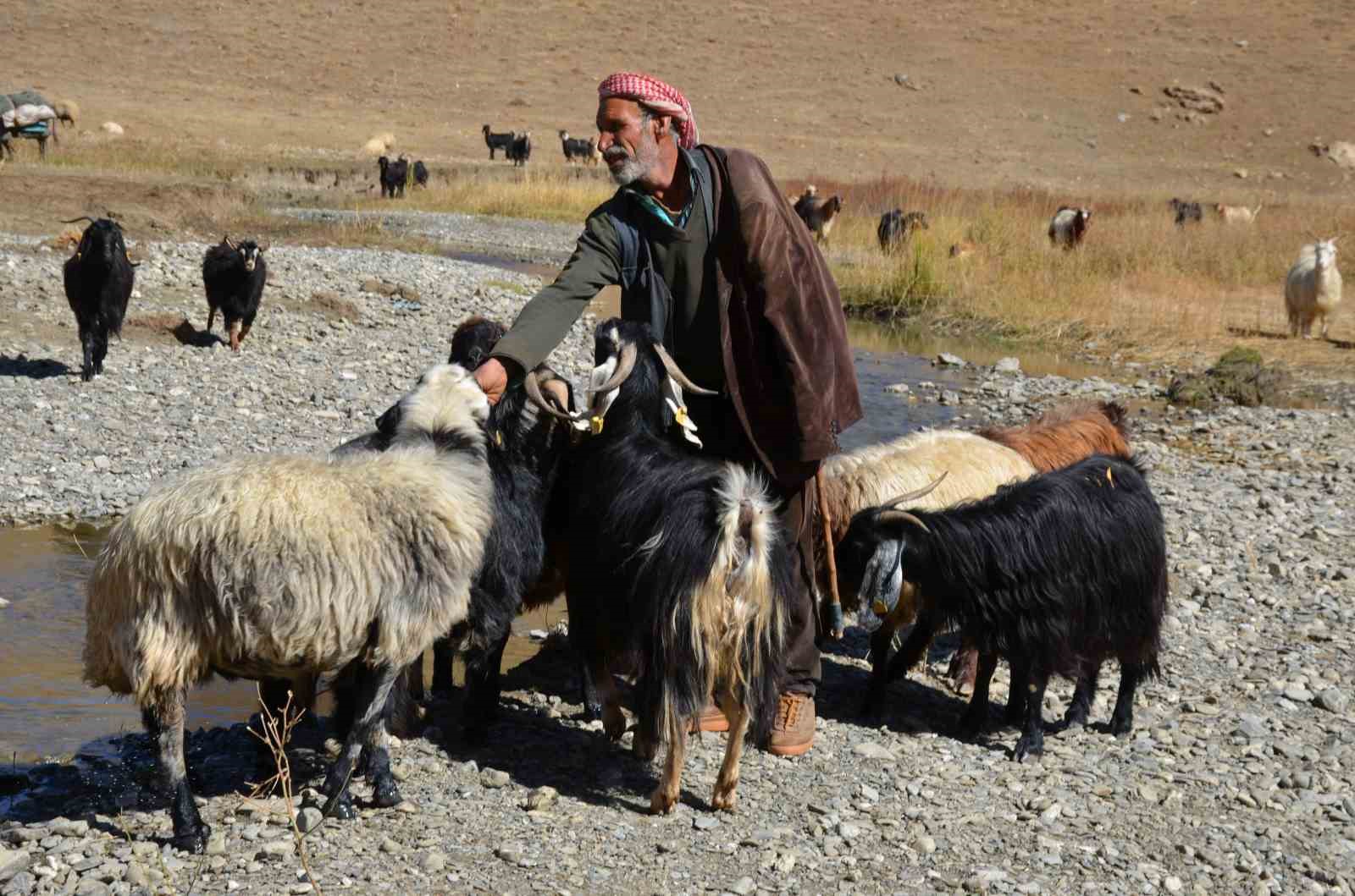 Şırnak&rsquo;ta yayladan inen besici, bir aylık yolculuğuna başladı
