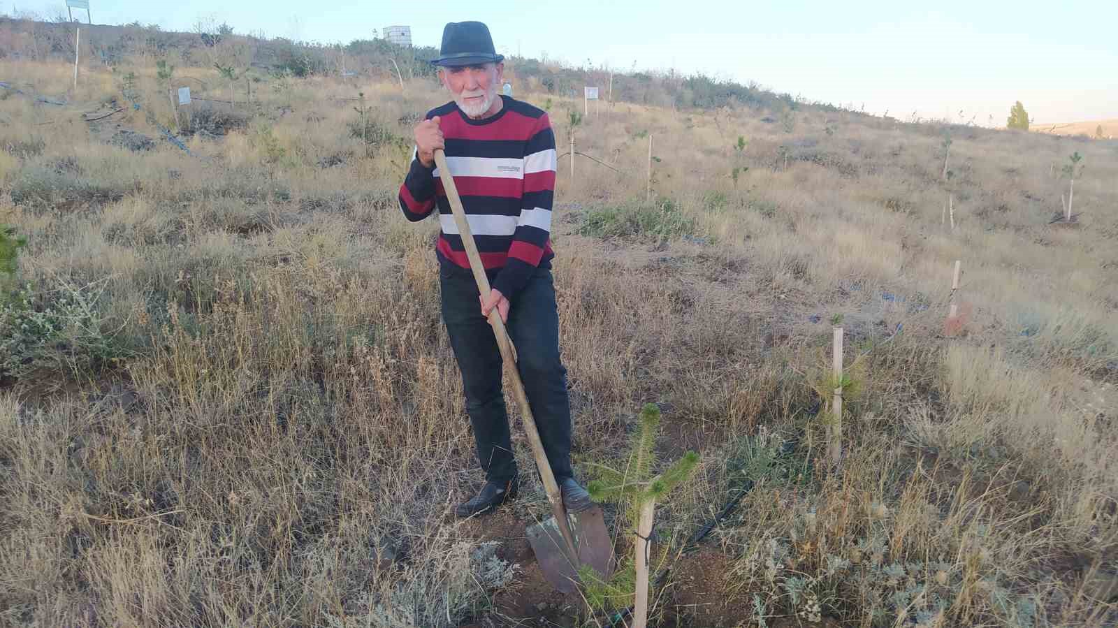 Bozkırı yeşertmek için ter döküyor